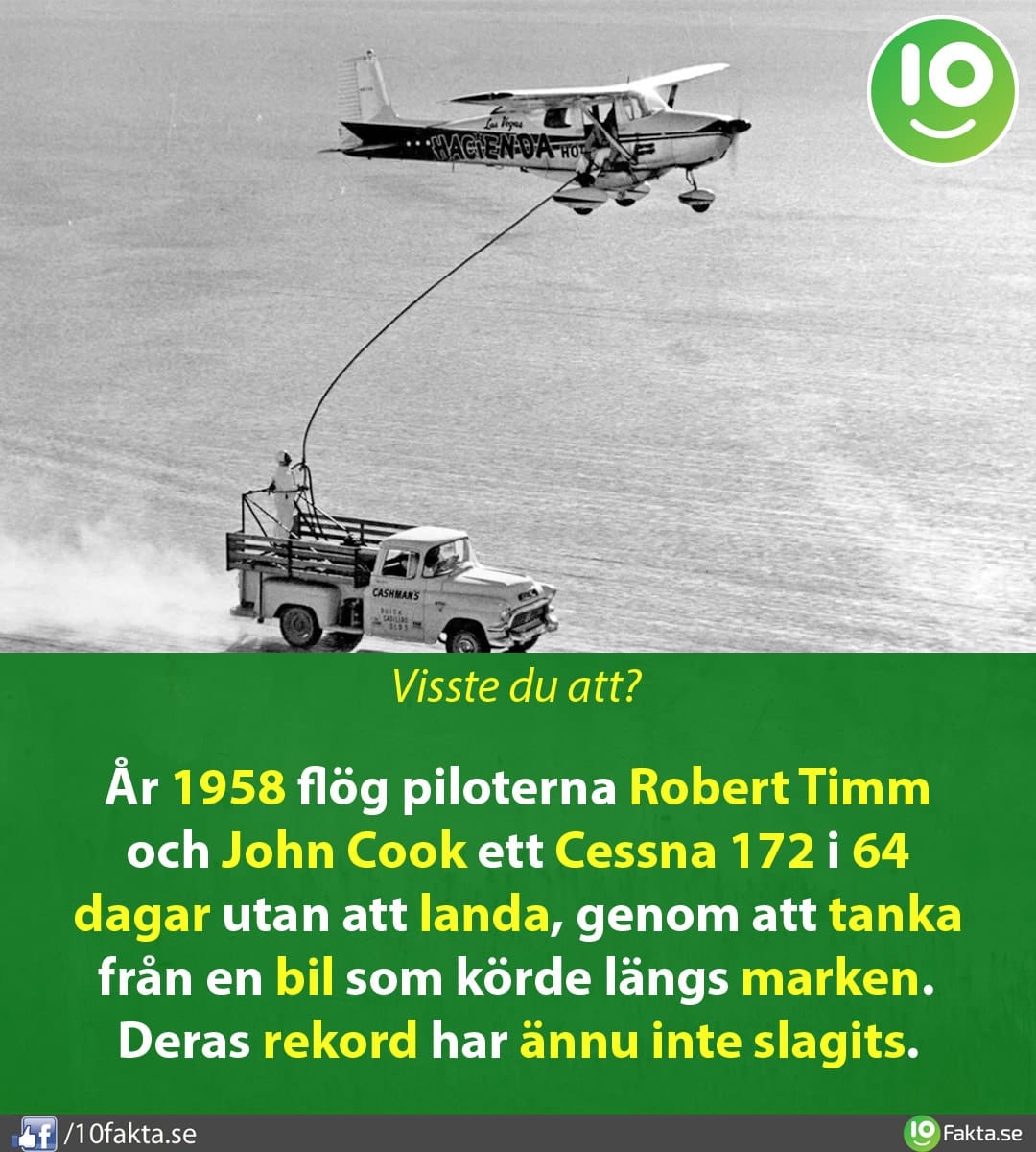 Mer än bara skratt: 10 fascinerande fakta om hyenor