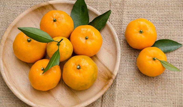 Saftig kunskap! 10 fakta om satsuma som får dig att le Saftig kunskap! 10 fakta om satsuma som får dig att le